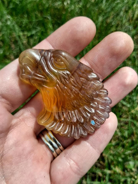 Yellow Fluorite Eagle