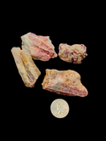 Pink Tourmaline & Rubellite