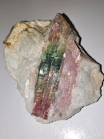 Watermelon Tourmaline *Rare* Specimen