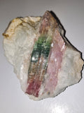 Watermelon Tourmaline *Rare* Specimen