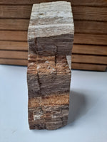 Petrified Wood