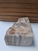 Petrified Wood