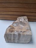 Petrified Wood