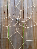 Vintage Butterfly Dream Catcher