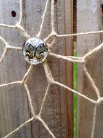 Vintage Butterfly Dream Catcher