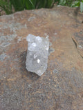 Quartz and Natural Mineral Turtle Carving