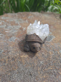 Quartz and Natural Mineral Turtle Carving