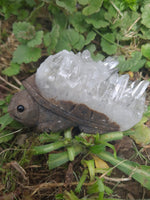 Quartz and Natural Mineral Turtle Carving