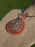 Coral Fossil Agate Pendant