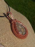 Coral Fossil Agate Pendant