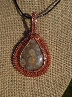 Coral Fossil Agate Pendant