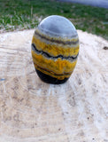 Bumble Bee Jasper