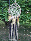 Steeler Vibes Dream Catcher