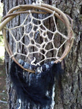 Snowflake Obsidian Skunk Dream Catcher