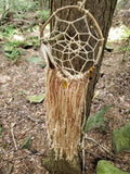 Nature Tiger Eye